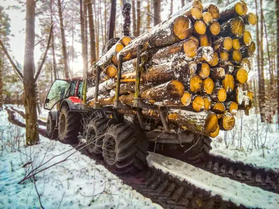 En rød traktor som trekker en fullastet PALMS MWD 3.2 tømmervogn gjennom snødekt skog.