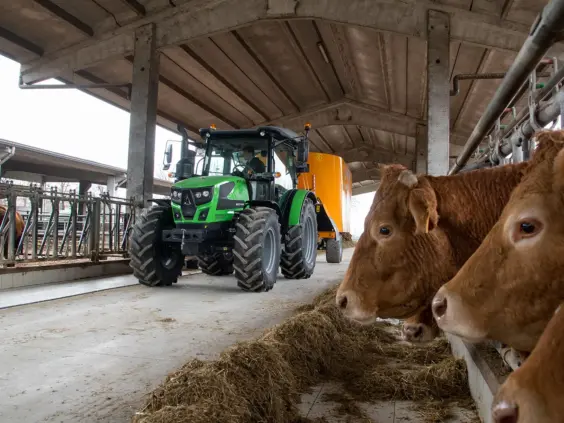En grønn Deutz-Fahr Series 5 Keyline traktor som arbeider i et fjøs med kuer.