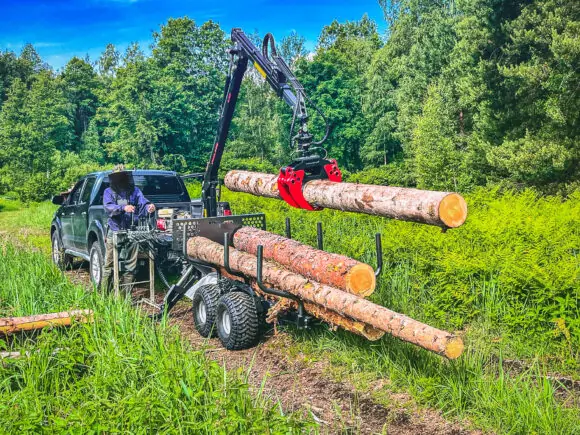 En PALMS 1.42 skogskran løfter tømmerstokker på en tilhenger i skogen.