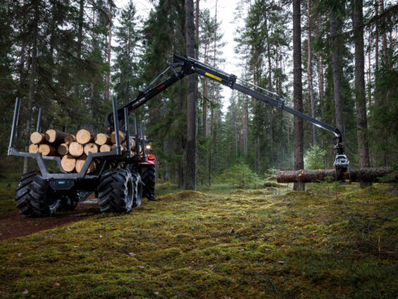 En PALMS MWD 3.2 tømmervogn laster tømmer i en dyp, grønn skog.