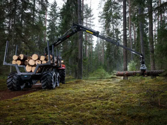 En PALMS MWD 3.2 tømmervogn laster tømmer i en dyp, grønn skog.