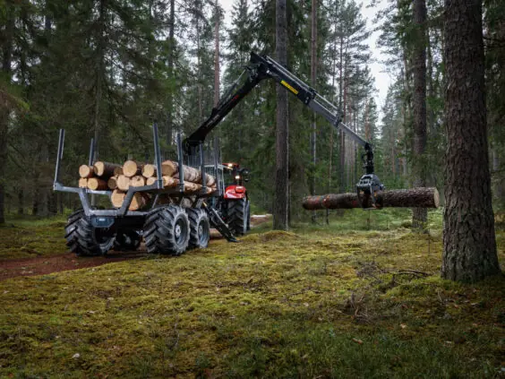 En PALMS MWD 3.2 tømmervogn i arbeid med å laste tømmer i skogen.