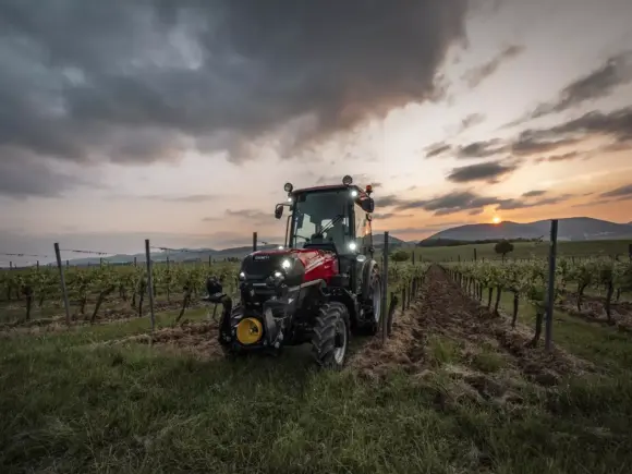 En rød Case IH traktor i en vingård under en dramatisk solnedgang.