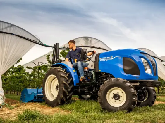 En blå mini traktor Boomer 25 C-55 i en frukthage under beskyttende plasttunneler.
