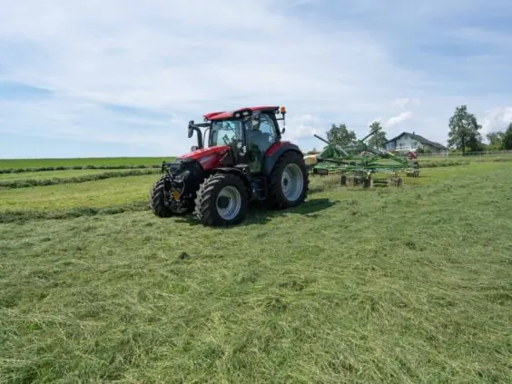 Rød Case IH traktor fra Vestrum-serien i arbeid med høyrive på et gressfelt.