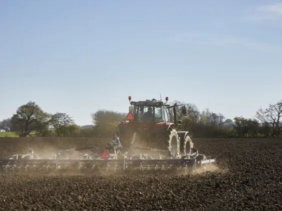 Traktor med DALBO Cultimax såbedsharv i arbeid