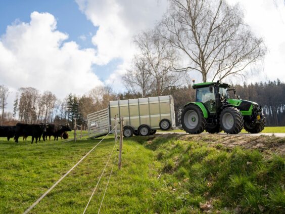 Grønn Deutz-Fahr Series 5 traktor med dyrehenger på en grønn mark med kuer.