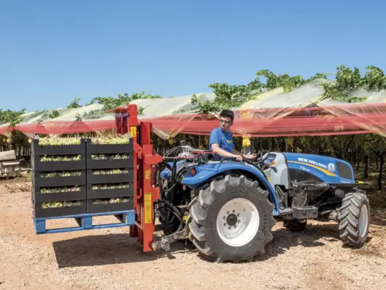 New Holland traktor fra T3F-serien transporterer kasser med nyhøstede druer i en vingård.