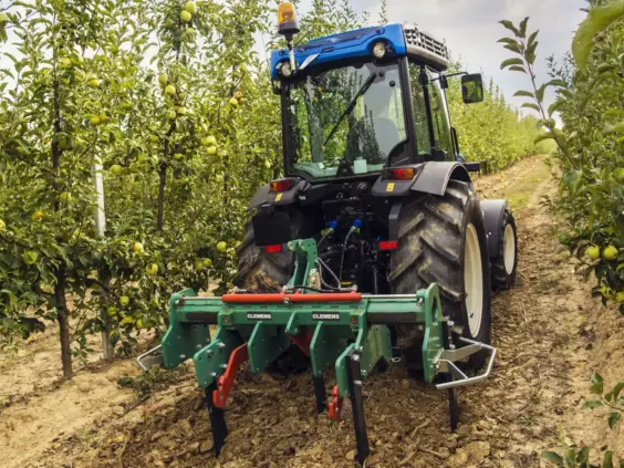 En blå New Holland T4 traktor som arbeider mellom rader med epletrær i en frukthage.