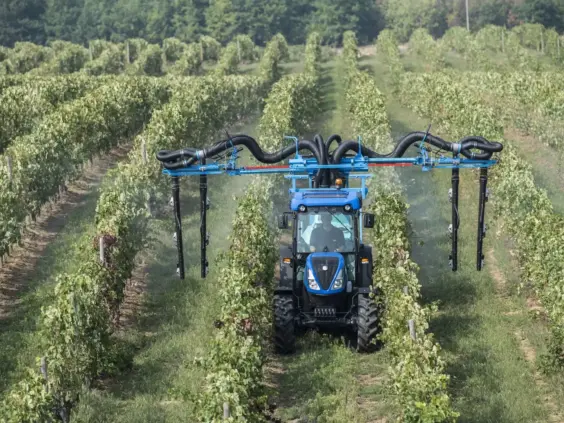 Blå New Holland T4 traktor som sprayer vinranker i en frodig vingård.