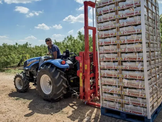 En blå traktor fra T3F-serien løfter en stor pall med fruktkasser i en frukthage.