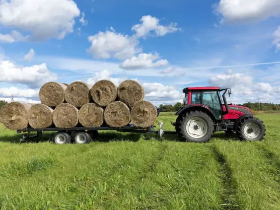 Rød traktor som trekker en Palmse PT3650 ballhenger lastet med rundballer på et jorde.