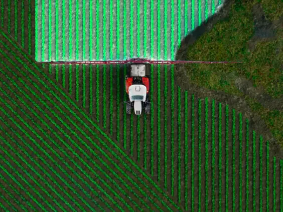 Steyr Plus med åkersprøyte sett rett ovenfra over grønnsaksrader