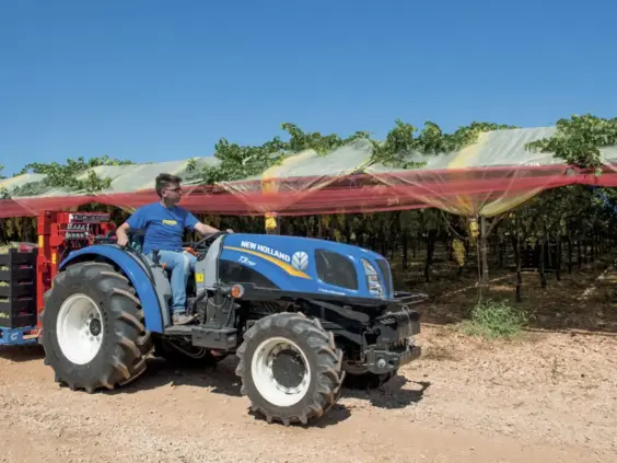 En blå New Holland traktor fra T3F-serien i arbeid i en solfylt vingård.