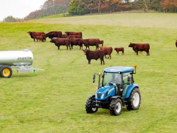 Blå New Holland T4S traktor på grønt beite med kuer og vanntank.