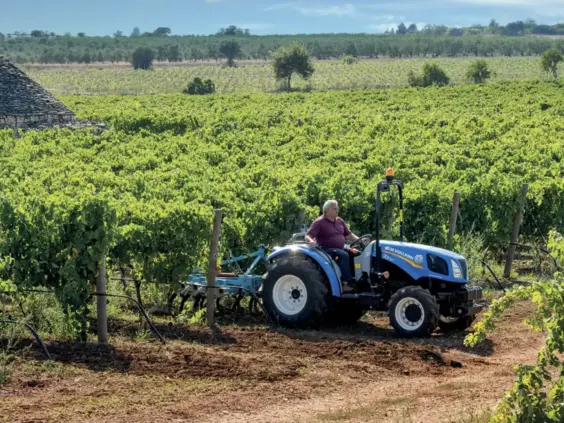 Blå traktor fra T3F-serien i arbeid i en frodig vingård med tradisjonell steinhytte.