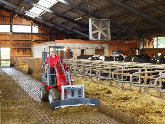 En rød Weidemann Hoftrac 1140 minilaster i arbeid i et fjøs med kuer.