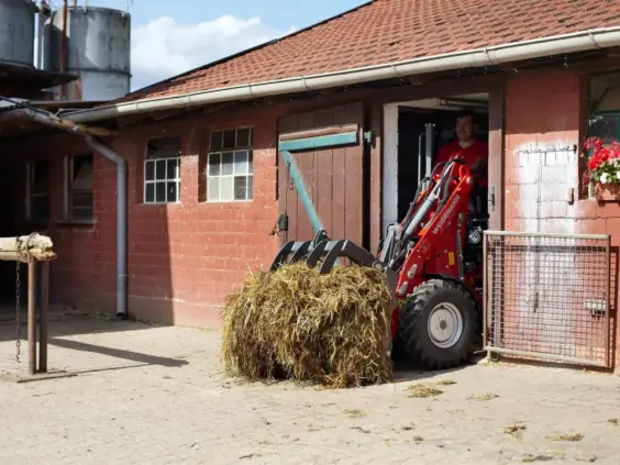 Weidemann Hoftrac 1140 Basic Line minilaster flytter en høyball ut av en rød låve.