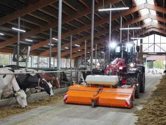 En rød Weidemann 9580T teleskopisk hjullaster i et moderne fjøs med fôrende kuer.