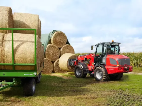 En rød Weidemann 5080T teleskopisk hjullaster løfter en rundballe på et jorde.