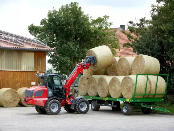 En rød Weidemann 5080T teleskopisk hjullaster som laster rundballer på en grønn tilhenger.