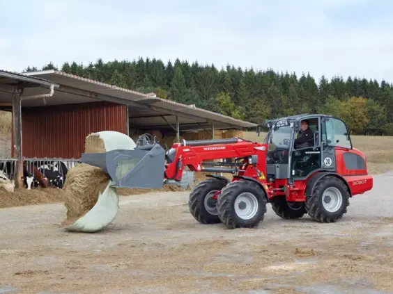En rød Weidemann 3080T teleskopisk hjullaster flytter en rundballe foran en fjøs med kyr.