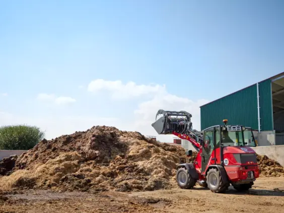 Rød Weidemann Hoftrac 1260LP minilaster i arbeid ved en stor haug med gjødsel.