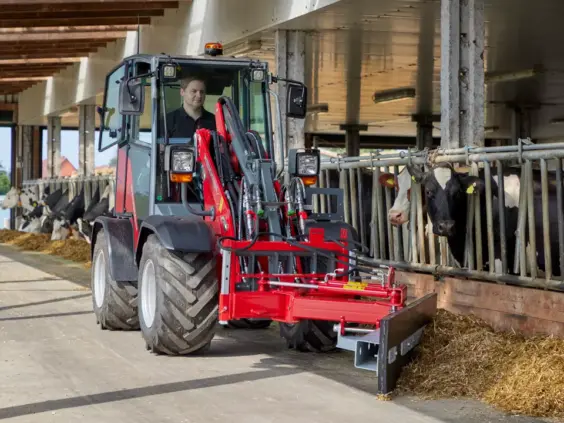 En rød Weidemann Hoftrac 1260LP minilaster skyver fôr i et fjøs med kuer.