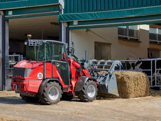 En rød Weidemann Hoftrac 1260LP minilaster løfter en høyball utenfor et fjøs med kyr.