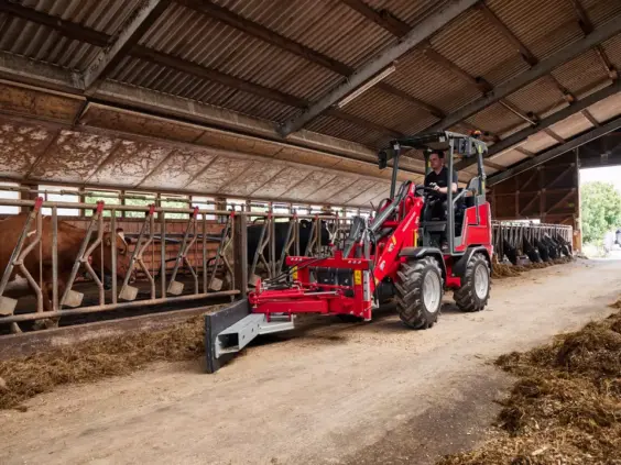 En rød Weidemann Hoftrac 1190e minilaster skyver fôr i et fjøs med kuer.