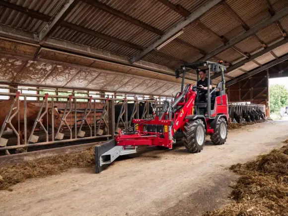 En rød Weidemann Hoftrac 1190e minilaster skyver fôr i et fjøs med kuer.