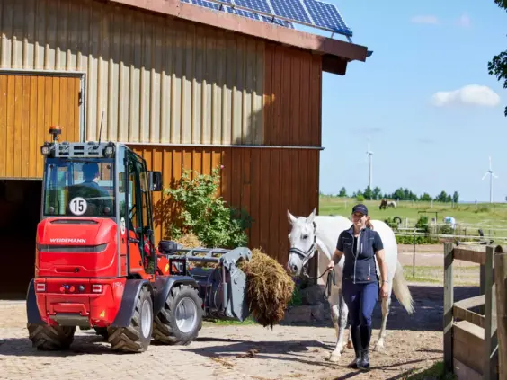 Rød Weidemann Hoftrac 1190e minilaster med fôr ved siden av en hvit hest.