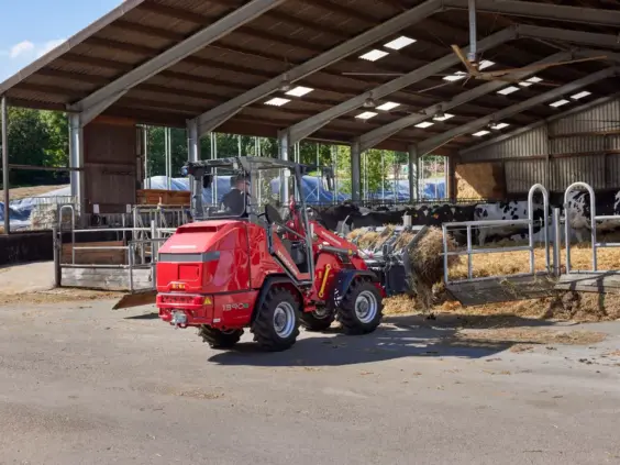 En rød Weidemann Hoftrac 1390e elektrisk hjullaster som håndterer fôr i et fjøs.