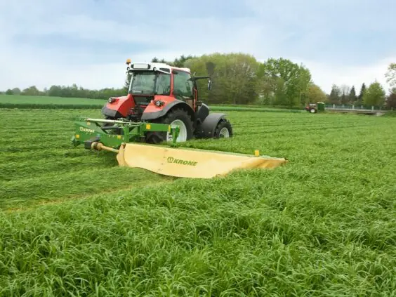 Rød traktor i arbeid på grønn eng med en Krone EasyCut R slåmaskin.