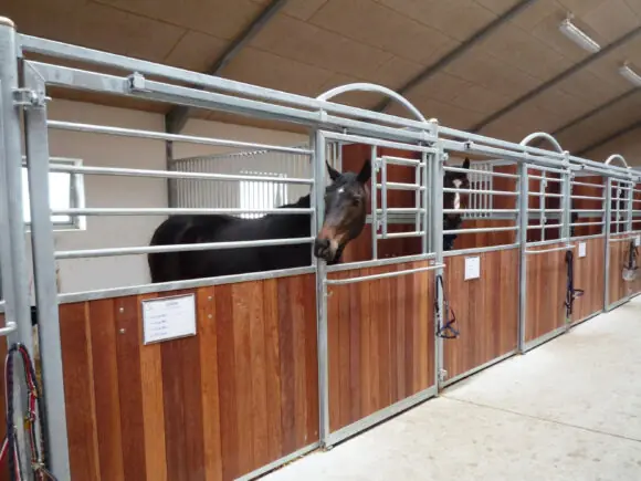 Classic hestebokser – ny modell med buer og runde stolper, fortsatt svingbar.