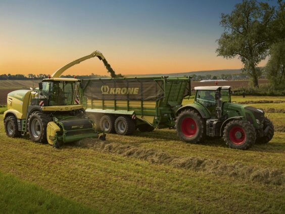 En gul KRONE BiG X 680-1180 fôrhøster som høster gress ved solnedgang.
