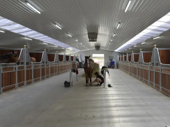 Elegance hestebokser med plass for å binde hesten ved stell.