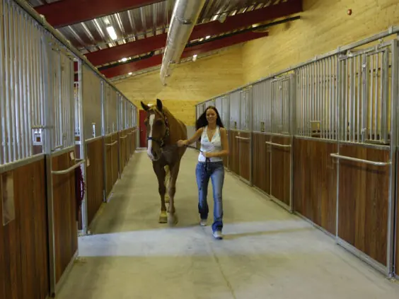 Grand Prix hesteboks med loddrette spiler.