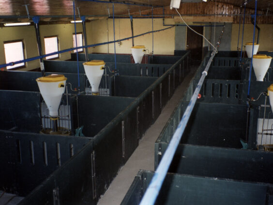 Bingeskiller av 50 mm plastplater.
