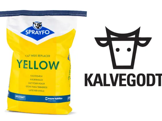 Sprayfo Kalvegodt gul melkeerstatning til kalver.