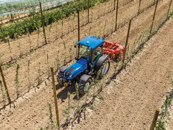 New Holland T4 LP med jordfres mellom trerekkene i en frukthage, sett fra lufta