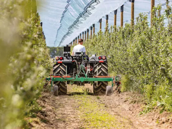 New Holland T4 LP med radrenser mellom trerekkene i en frukthage