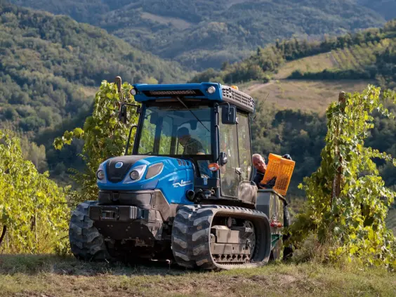 New Holland TK4 med druekasser i vingård